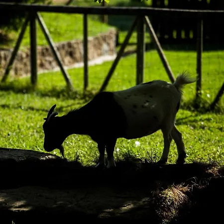El Corral * Lladurs