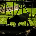 El Corral * Lladurs