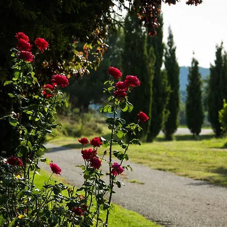 Casa rural Rural El Corral Lladurs