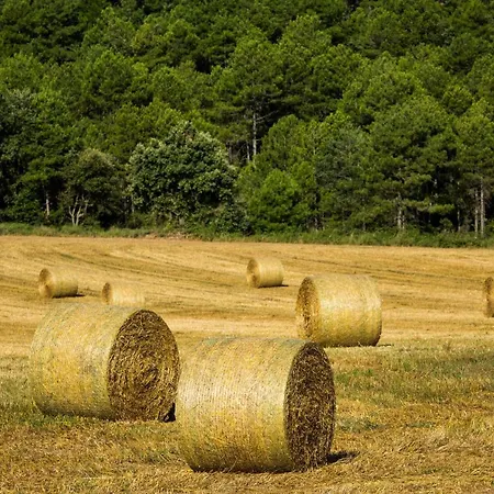 Rural El Corral Lantställe